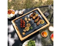 Mestic Grillplaat MG-135 -Buiten Kamperen Promotie 50 3 mestic grillplaat mg 135 1506500